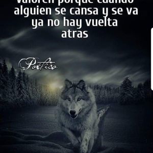 Meet your Posher, Tiago